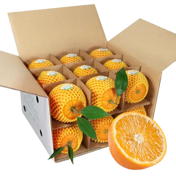 正宗秭归伦晚甜橙子 现摘当季新鲜水果 精品大果15-18颗礼